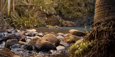 Derecik-Belediyesi8217nde-Yeni-Donem-Mesut-Tekin-Baskan-Vekili-Secildi-featured