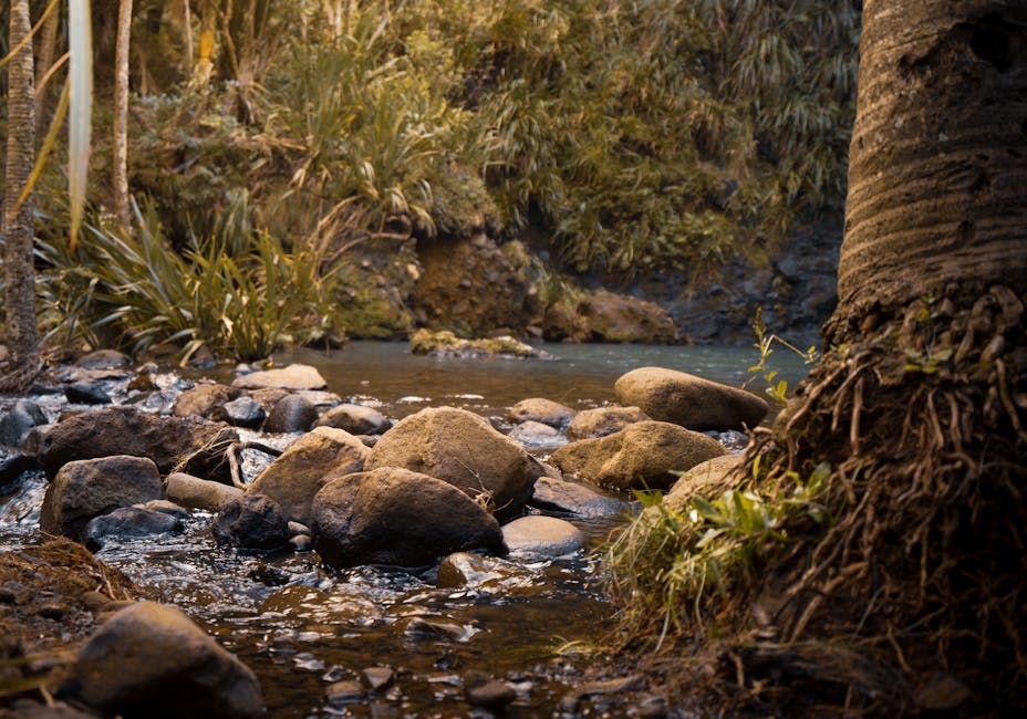 Derecik-Belediyesi8217nde-Yeni-Donem-Mesut-Tekin-Baskan-Vekili-Secildi-featured