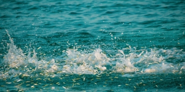 Bayram-Gocu-Basladi-Istanbul8217da-Havalimanlari-Dolup-Tasti-featured