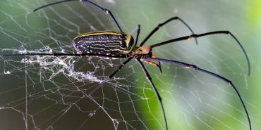 Erdogan-Duyurdu-Ikinci-Iran-Fuzesi-Dusuruldu-featured